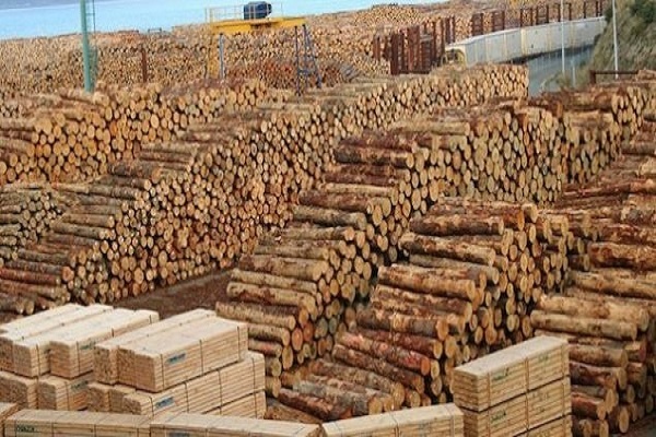 کشورهای پیشرو در صنعت صادرات چوب