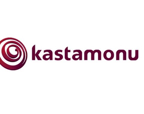 شرکت کاستامونو انتگره (Kastamonu Entegre)