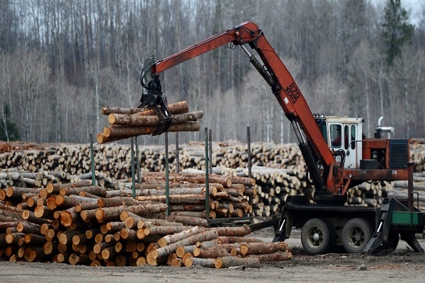 کشورهای پیشرو در صنعت صادرات چوب
