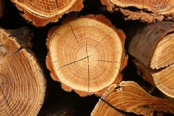 اصلاح آنزيمي چوب