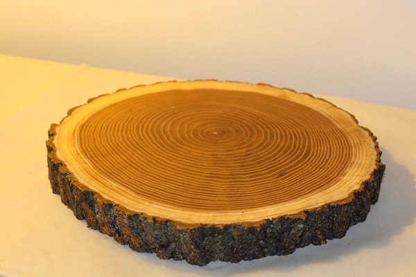 معرفی چوب درخت توت