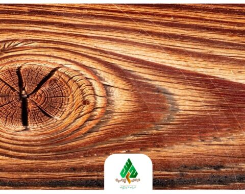 آشنایی با انواع ساختار چوب با مرس وود